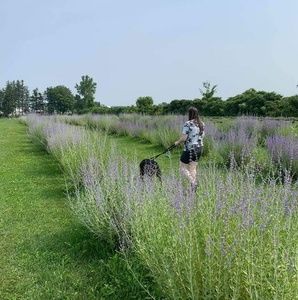 Meet your Posher, Samantha